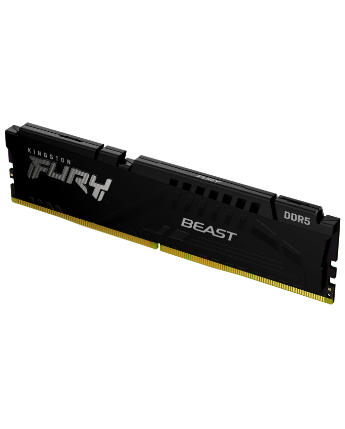 Kingston Technology FURY Beast 16 GB 5600 MT/s DDR5 CL36 DIMM Black