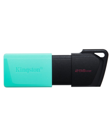 Kingston Technology DataTraveler 256GB USB3.2 Gen1 Exodia M (Nero + Verde ottanio)