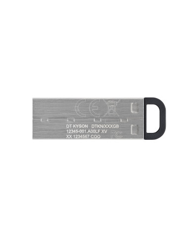 Kingston Technology DataTraveler Drive Flash USB Kyson da 256GB