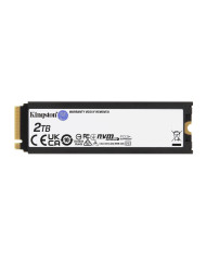 Kingston Technology 2000G RENEGADE PCIe 4.0 NVMe SSD W/ Dissipatore di calore