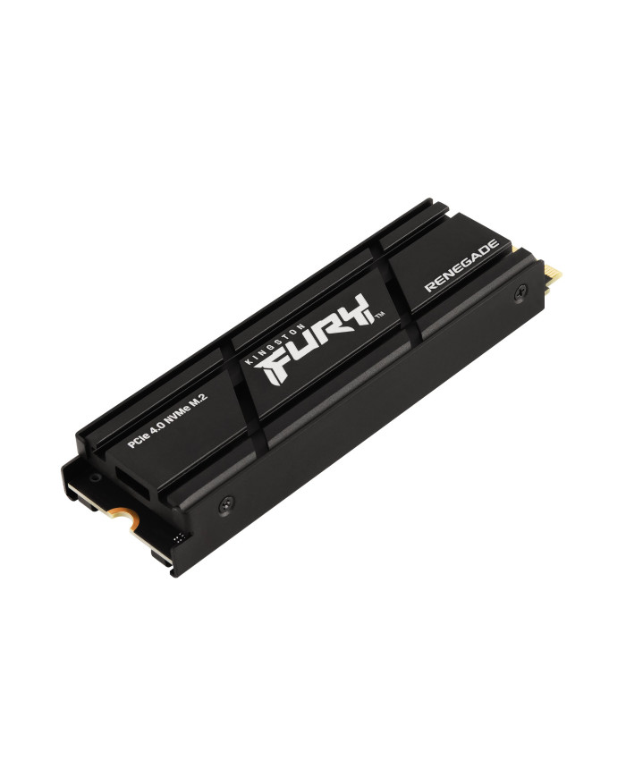 Kingston Technology 1000G RENEGADE PCIe 4.0 NVMe SSD W/ Dissipatore di calore