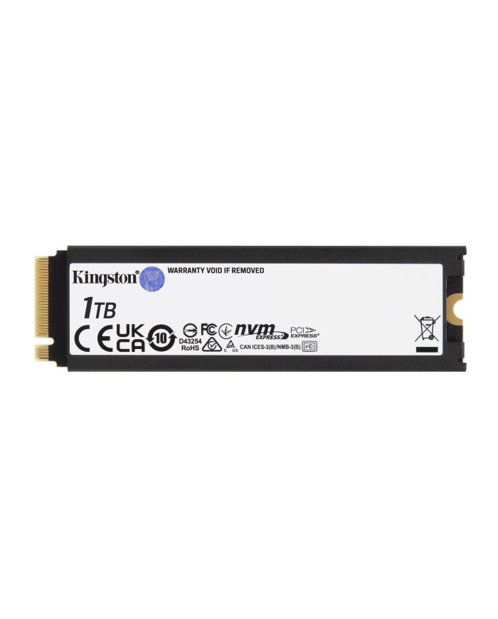 Kingston Technology 1000G RENEGADE PCIe 4.0 NVMe SSD W/ Dissipatore di calore