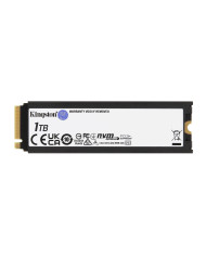 Kingston Technology 1000G RENEGADE PCIe 4.0 NVMe SSD W/ Dissipatore di calore