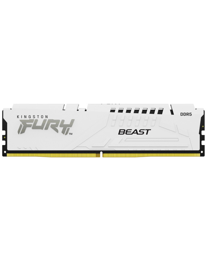 DIMM 16 GB DDR5-6000 (weiß, KF560C30BWE-16, Fury Beast, INTEL XMP, AMD EXPO)