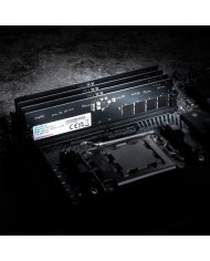 DIMM 16 GB DDR5-5600 (1x 16 GB) (schwarz, GD5U5600716G-SMI, Gold)