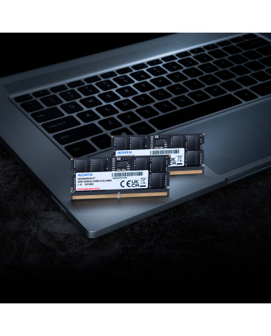 SO-DIMM 24 GB DDR5-5600 (AD5S560024G-S)