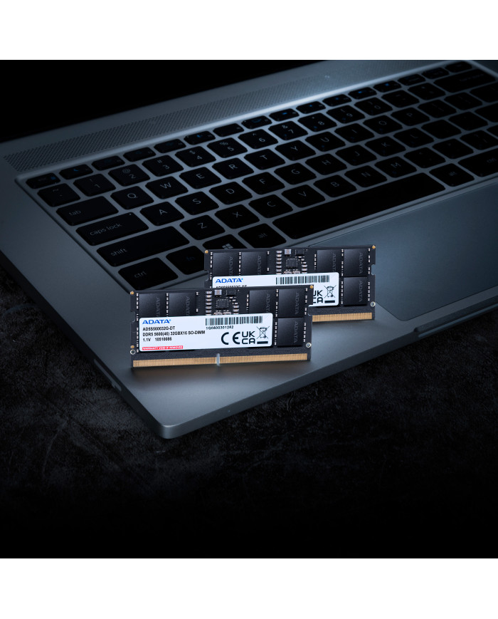 SO-DIMM 24 GB DDR5-5600 (AD5S560024G-S)