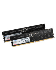 DIMM 16 GB DDR5-5600 (2x 8 GB) Dual-Kit (schwarz, AD5U56008G-DT, Premier Tray)