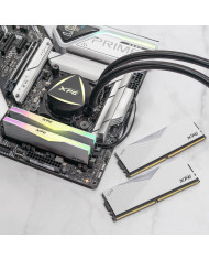 DIMM 64 GB DDR5-6400 (2x 32 GB) Dual-Kit (weiß, AX5U6400C3232G-DCLARWH, Lancer RGB, INTEL XMP)