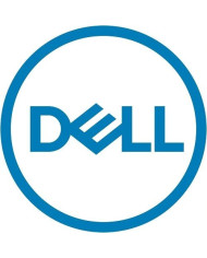 DELL 1.92TB SSD up to SAS 24Gbps ISE RI 512e 2.5inch with 3.5inch HYB CARR 1WPD CK