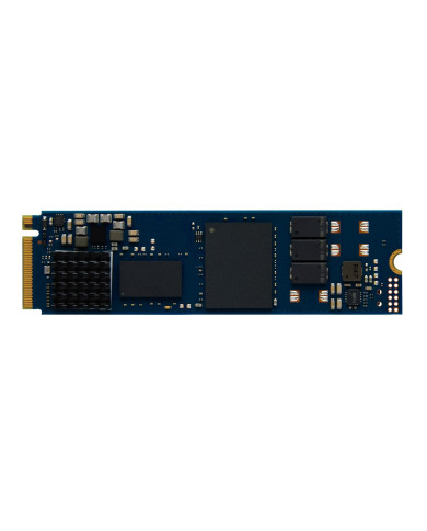 Kingston Technology DC2000B 480 GB PCI Express 4.0 NVMe 3D TLC