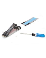 StarTech.com Dual-Bay M.2 NVMe SSD Removable Mobile Rack for PCIe x8 Slot - adattatore di interfaccia - M.2 - Carta NVMe M.2 / P