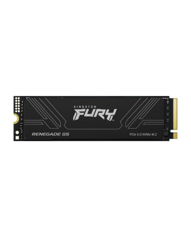 Kingston Technology 2T FURY RENEGADE G5 M.2 2280 NVMe SSD