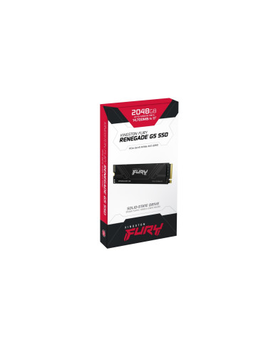 Kingston Technology 2T FURY RENEGADE G5 M.2 2280 NVMe SSD
